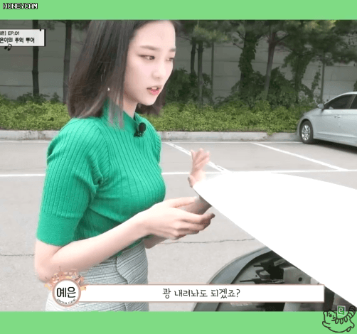 운전은 역시 안전벨트 예은