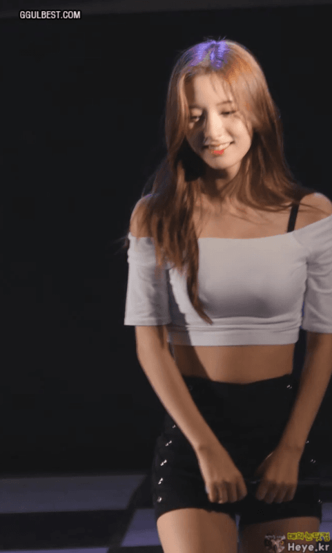 검은끈 보나