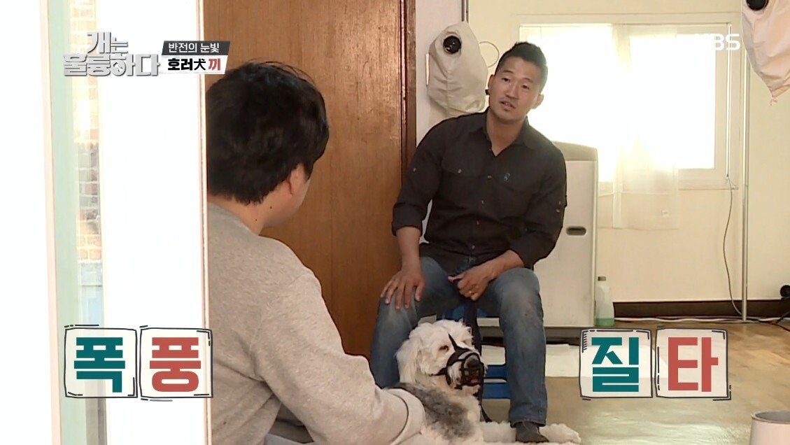 혼자 살면서 개 키우는 주인에게 빡친 강형욱