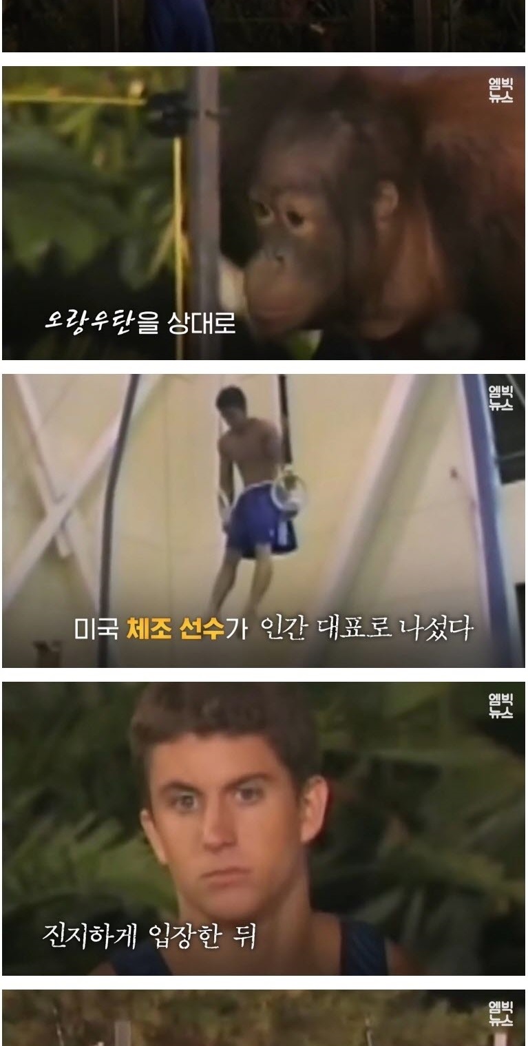 인간 VS 동물 기상천외한 승부