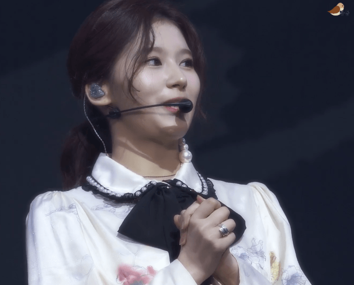 유투브 FanFest Music 재팬 사나, 미나 [108MB]