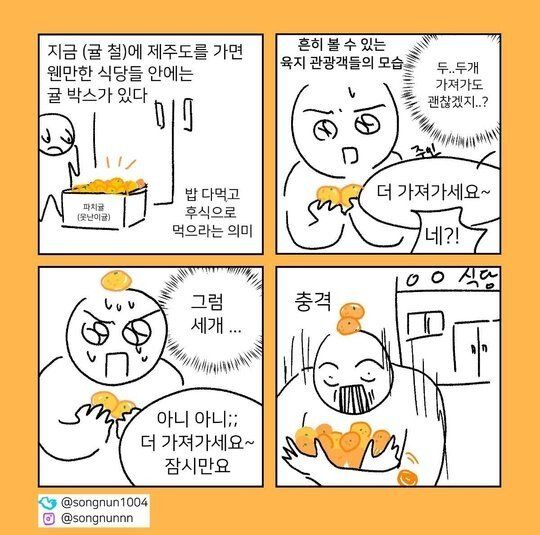 제주도에서 귤을 대하는 자세