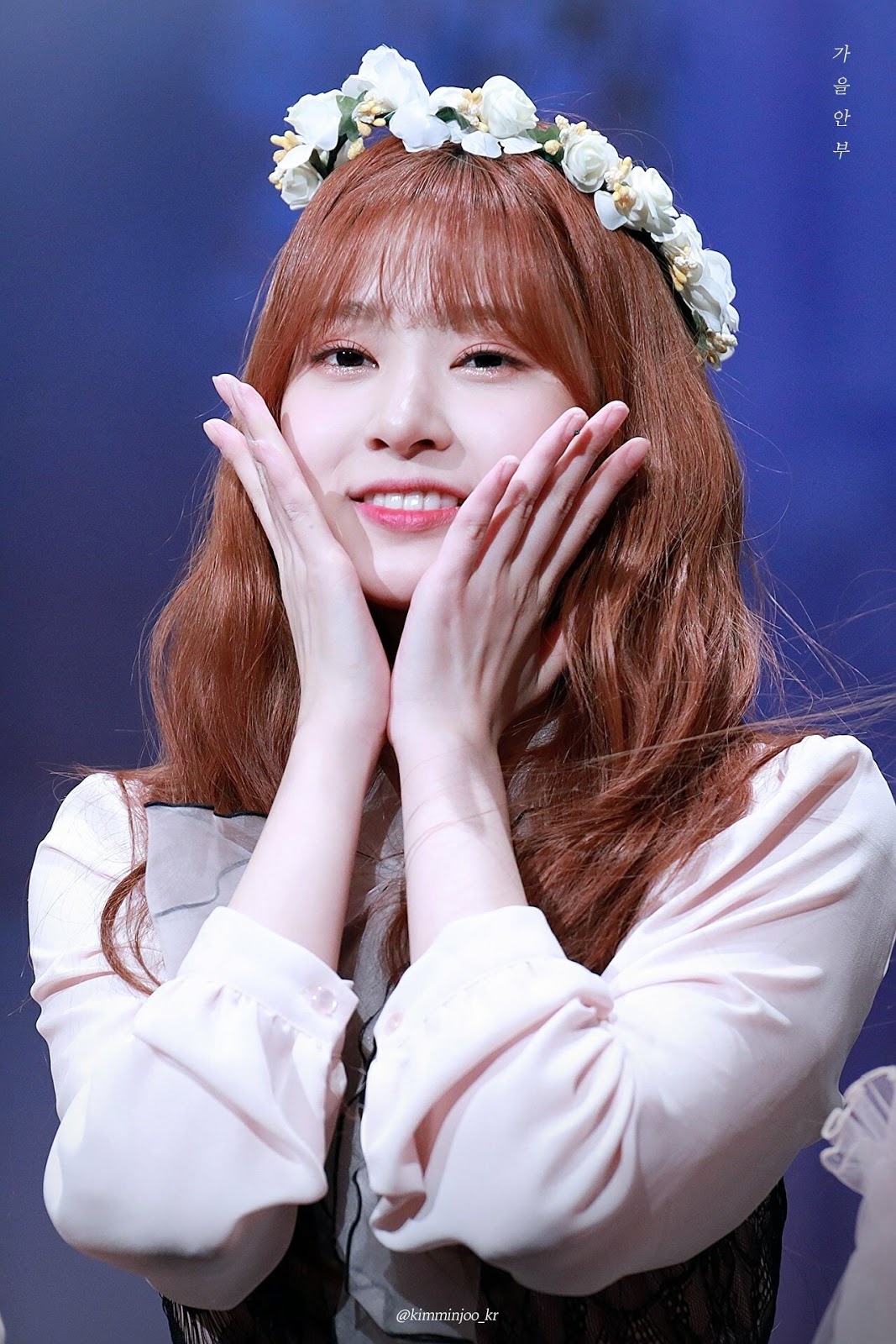 1일 1민주 1일차