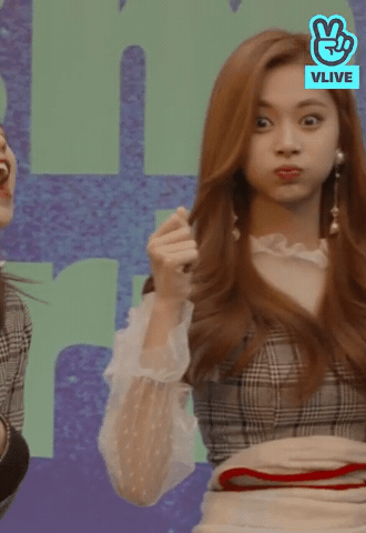 re:memV-log 트와이스 미나,쯔위