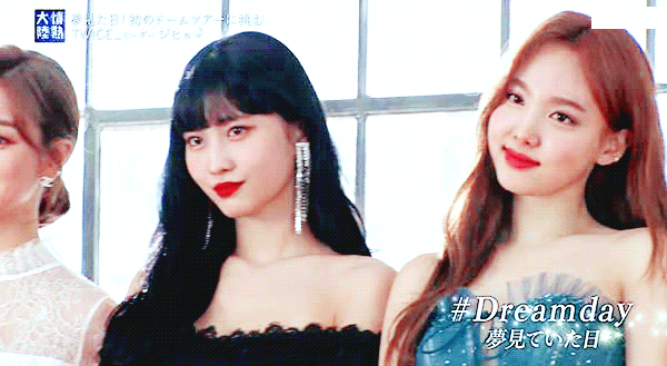 정열대륙 트와이스 사나 지효 모모 나연 [데이터]