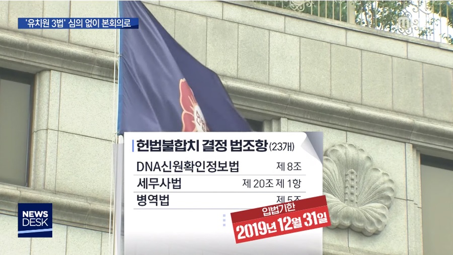 조국 사태 덕분에 식물이 된 분들