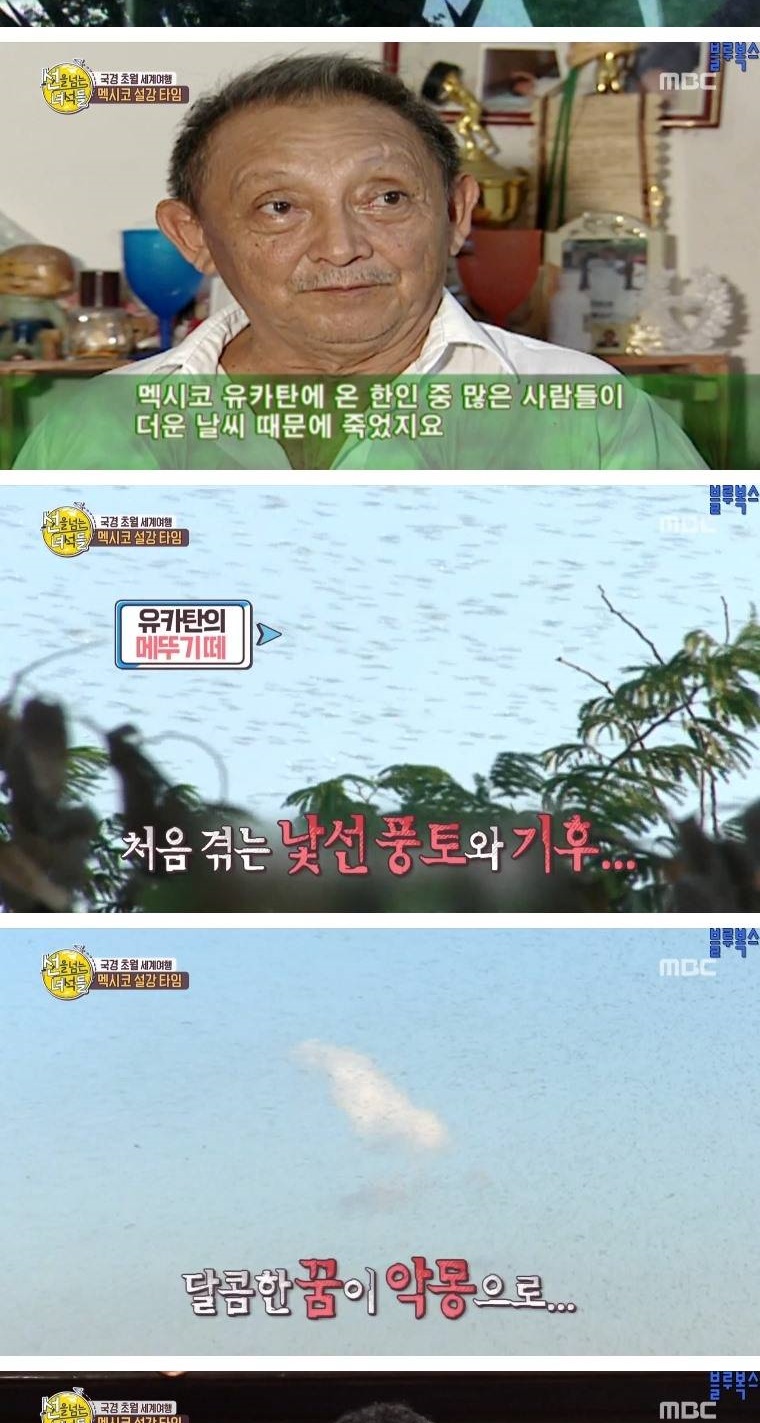 멕시코로 갔던 첫 조선인들