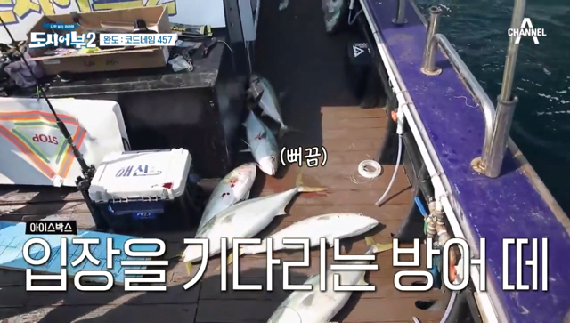 방어잡은 도시어부 프로그램 근황