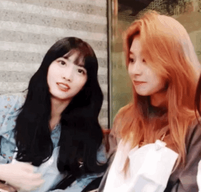 오늘자 브이앱 트와이스 미나 사나 모모 [108mb]