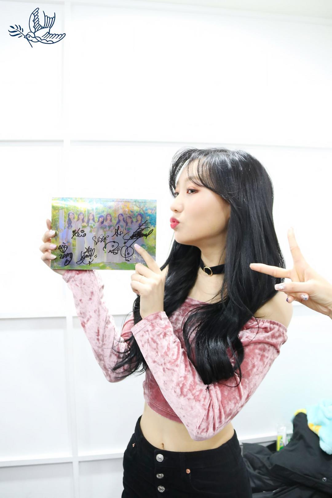 Lovelyz 소중했던 기억들로 Rewind 스압~