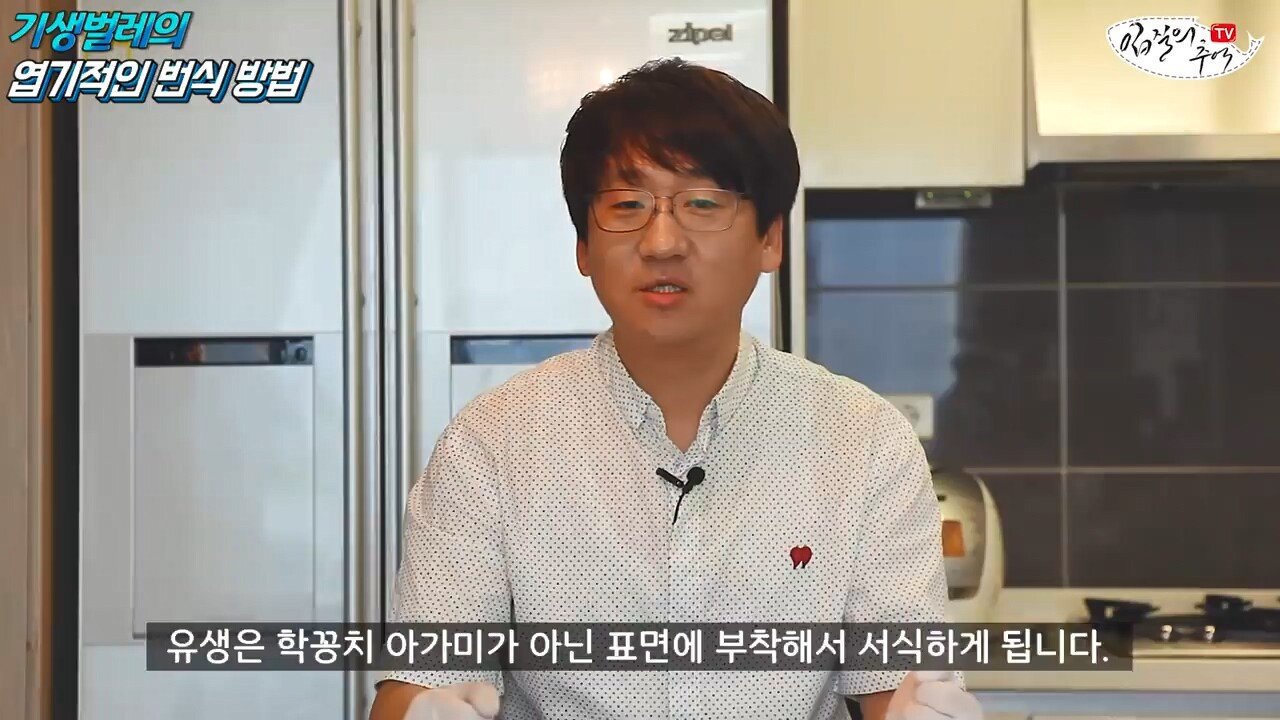 학꽁치 아가미에 사는 기생충