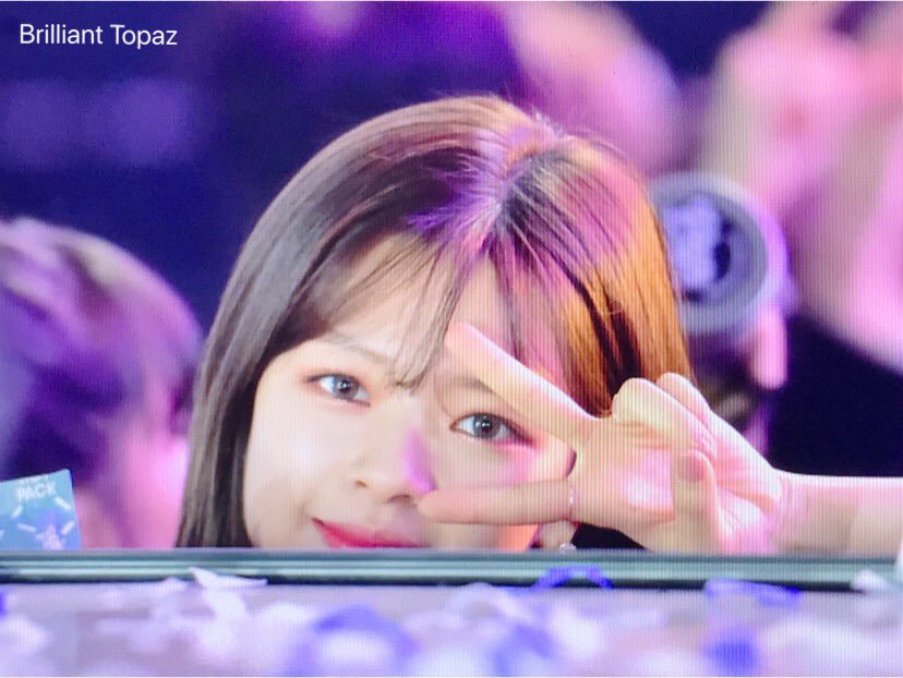 미어캣 트와이스