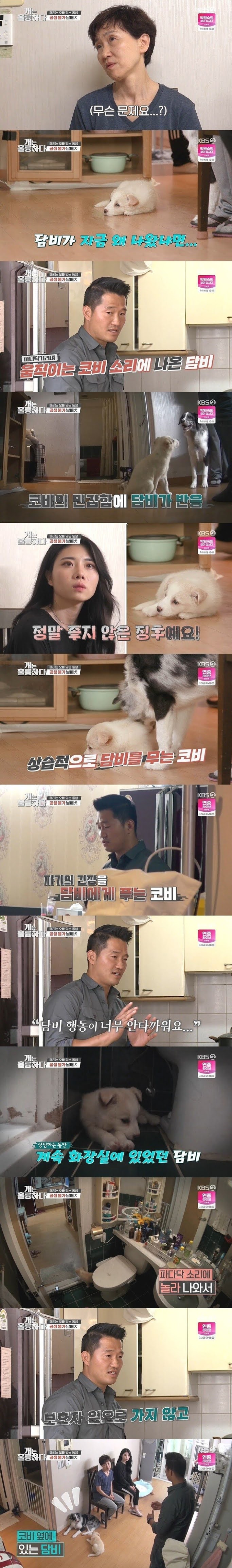 강형욱도 포기한 역대급 개 주인