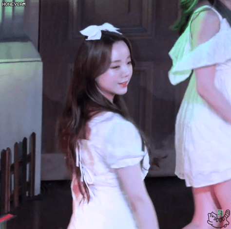 리본 케이