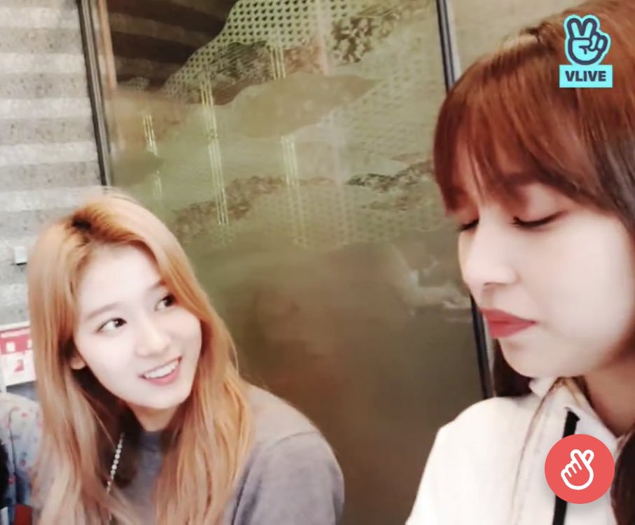 오늘자 브이앱 트와이스 미나 사나 모모 [108mb]