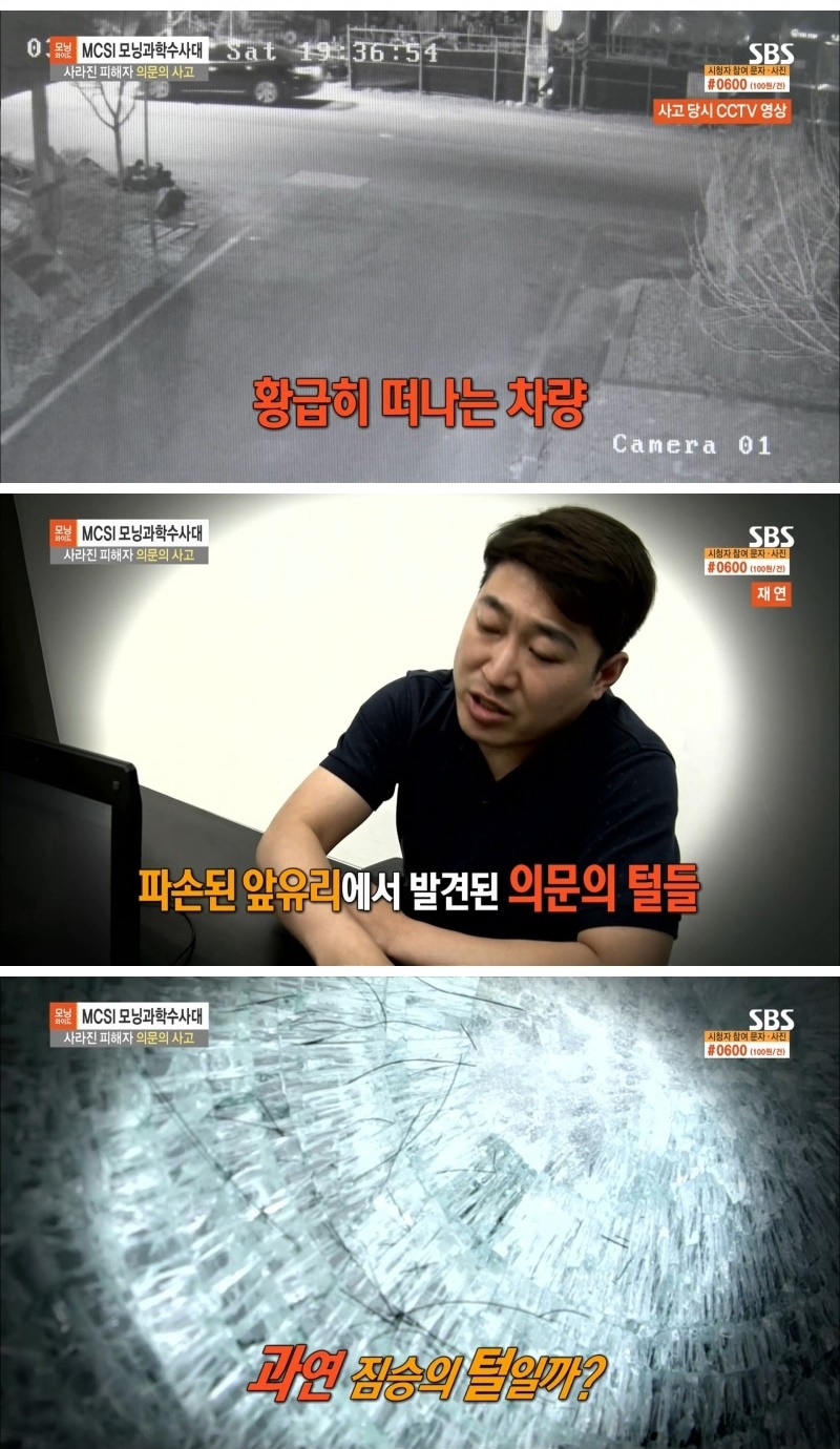 산짐승을 치었다는 사고 운전자