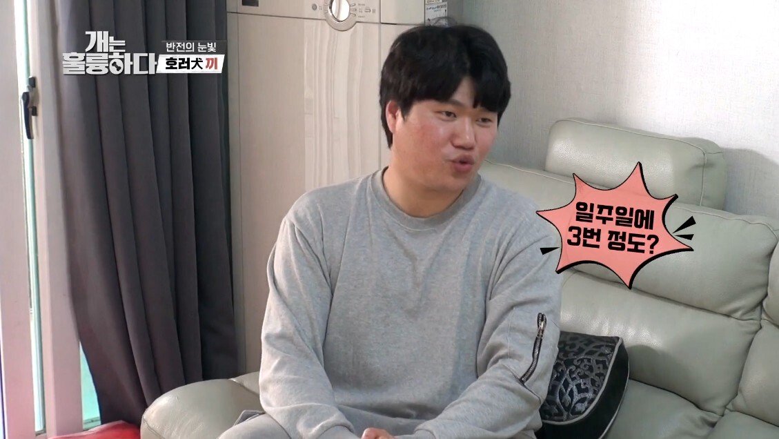 혼자 살면서 개 키우는 주인에게 빡친 강형욱