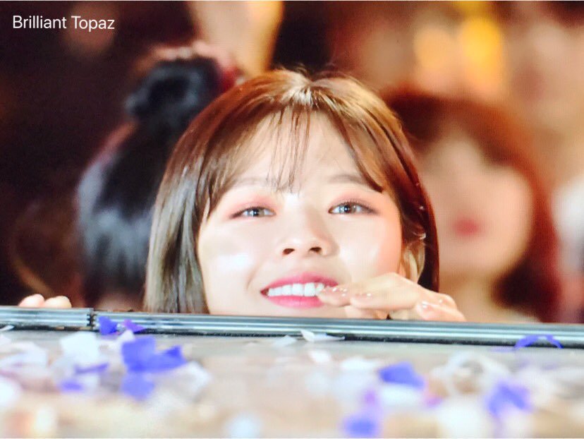 미어캣 트와이스