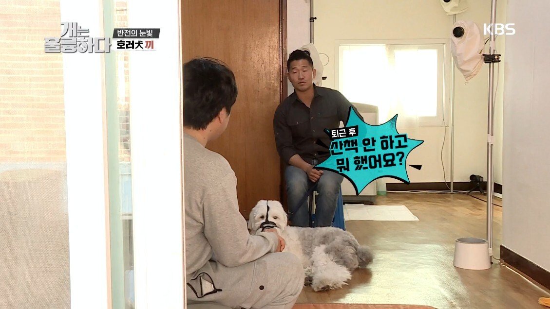 혼자 살면서 개 키우는 주인에게 빡친 강형욱