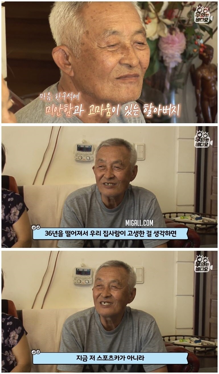 74세 스포츠카 차주