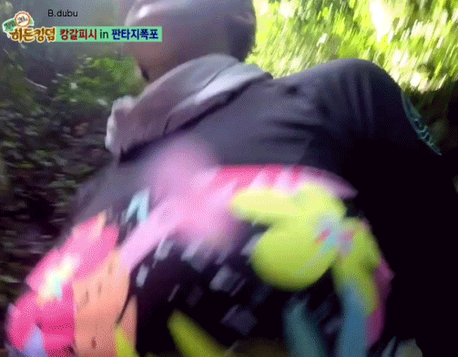 움짤 정글의 법칙 카메라 앵글