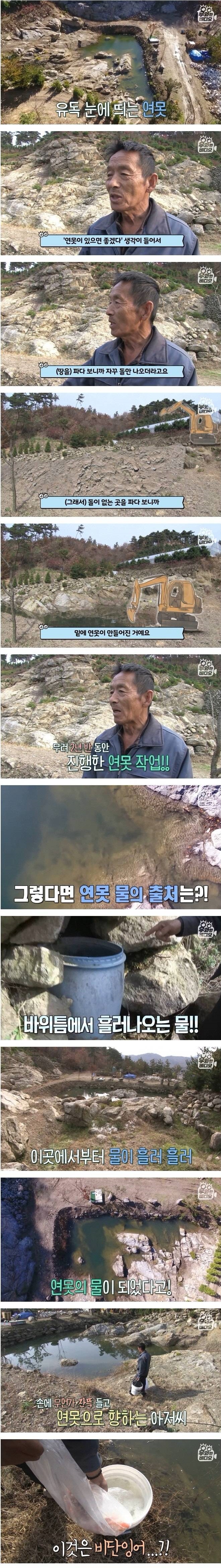 혼자 가꾸는 7천평 정원