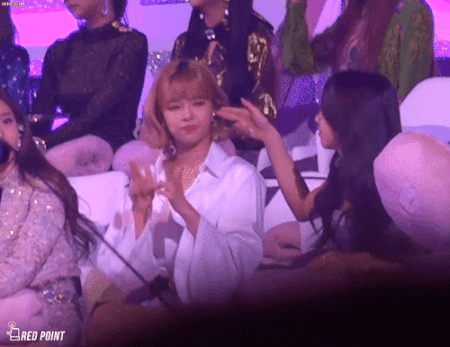 트와이스가 또라이스라고 불리는이유