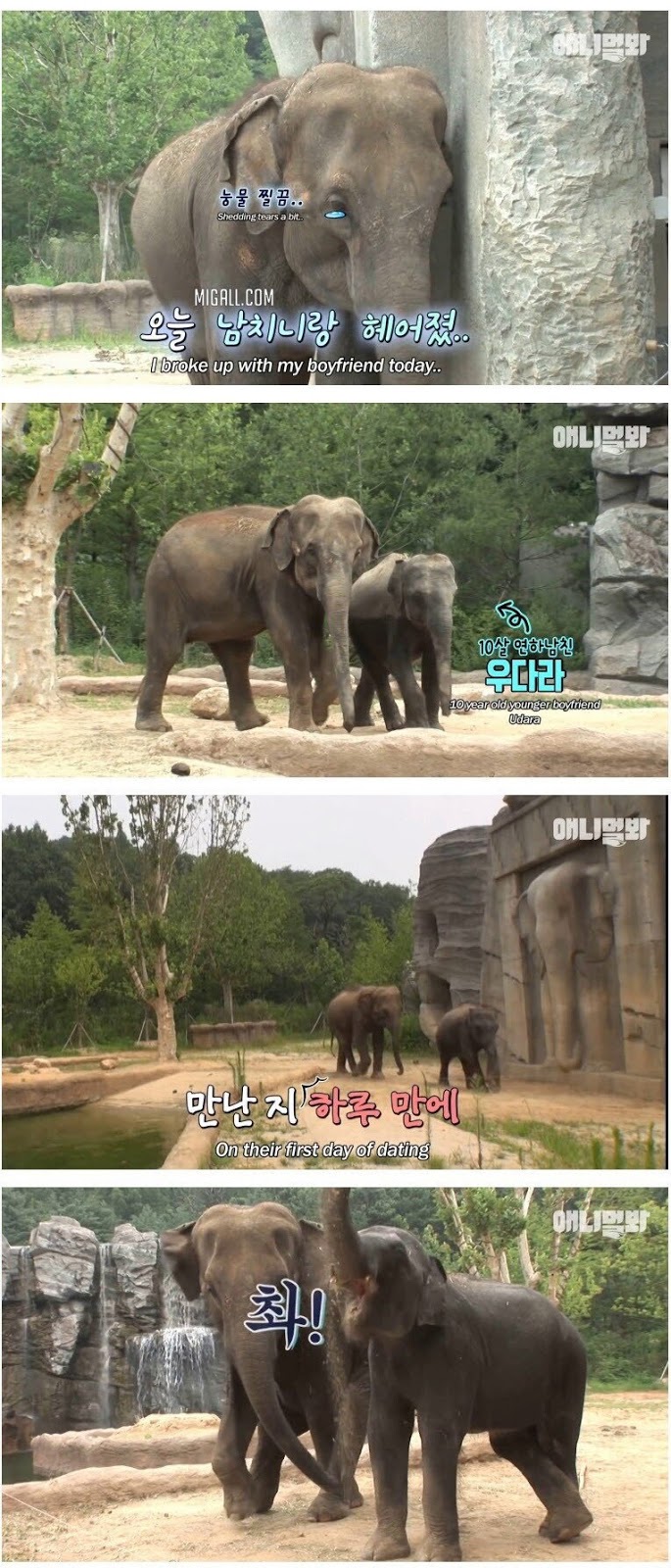 남친이랑 헤어지고 방청소 하다가 울음