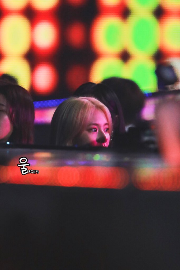 미어캣 트와이스