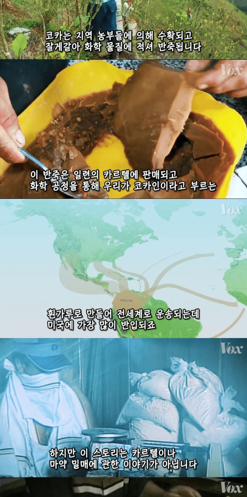 콜롬비아가 코카인 전쟁에서 지고 있는 이유