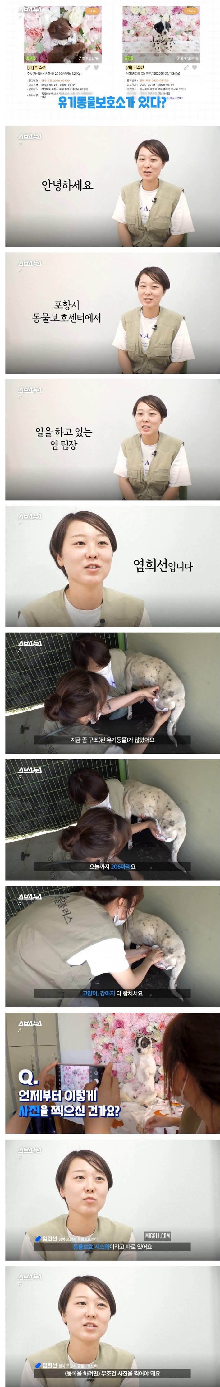 인생샷 찍어주는 보호소