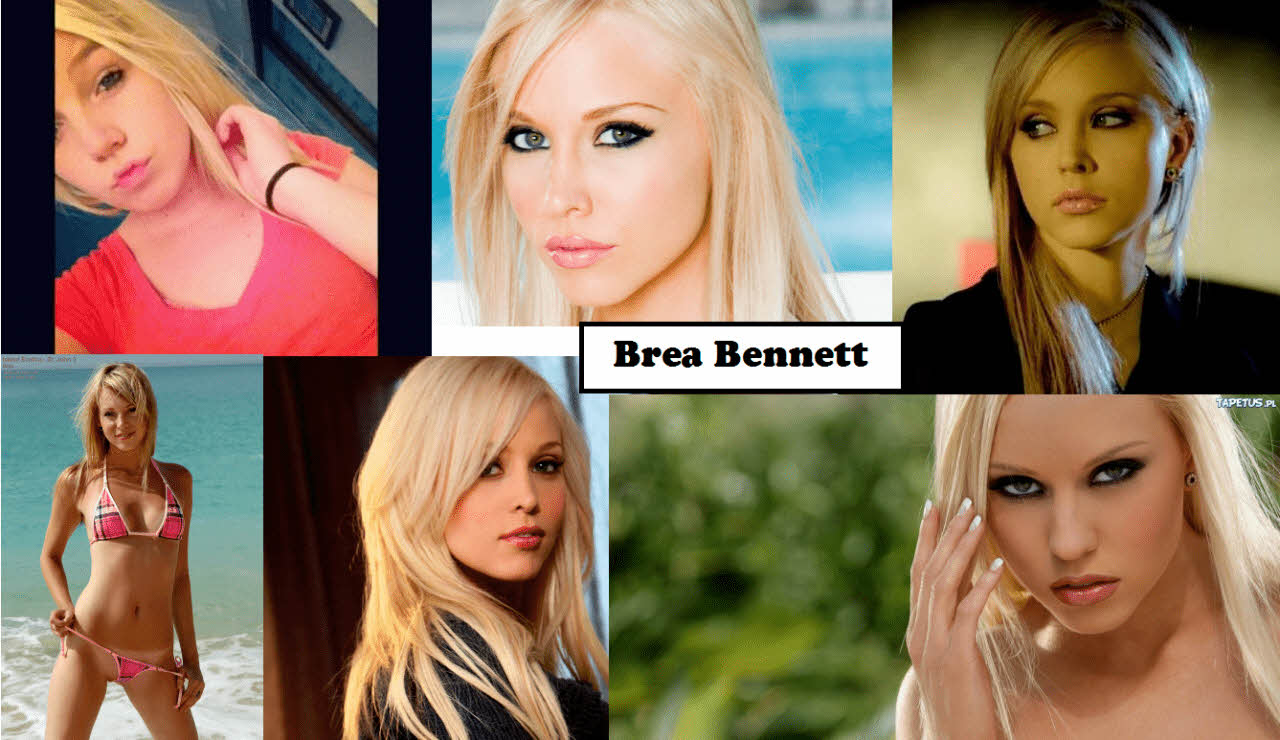 S급 서양 배우 확장판