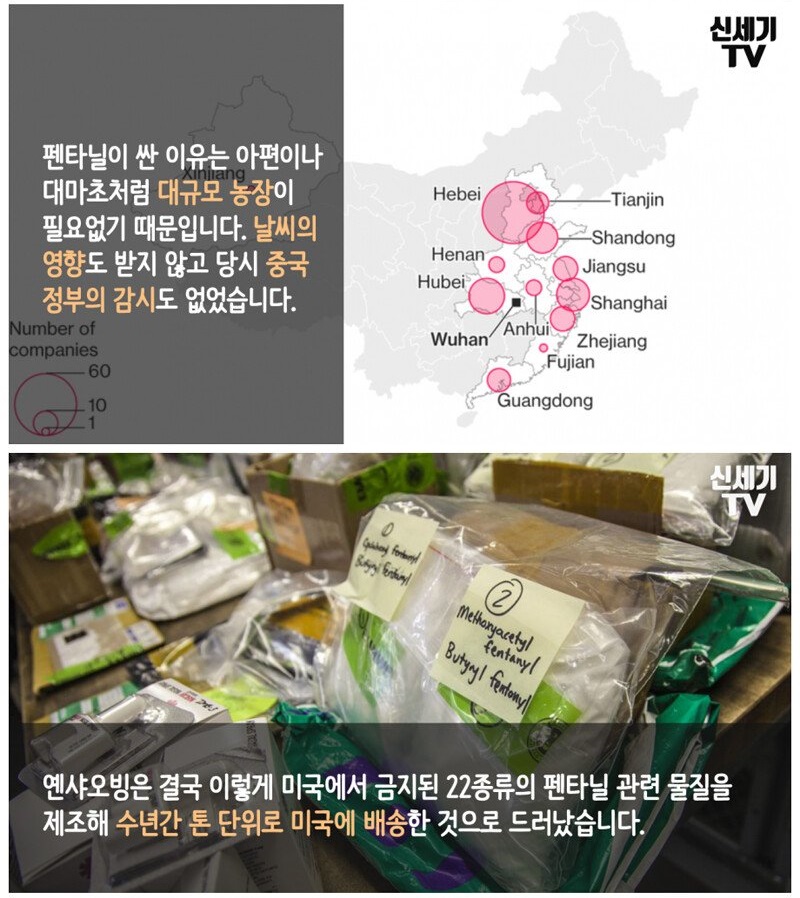 거실에 앉아 미국인 대량 학살?