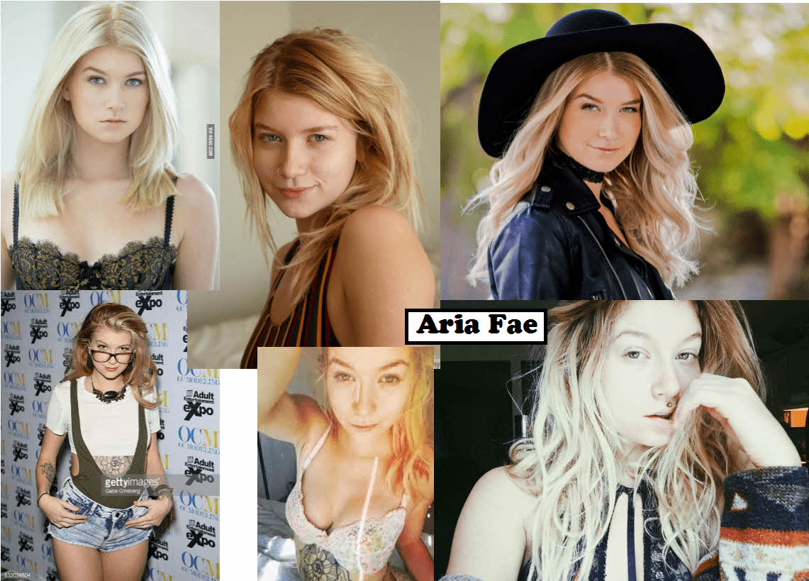 S급 서양 배우 확장판