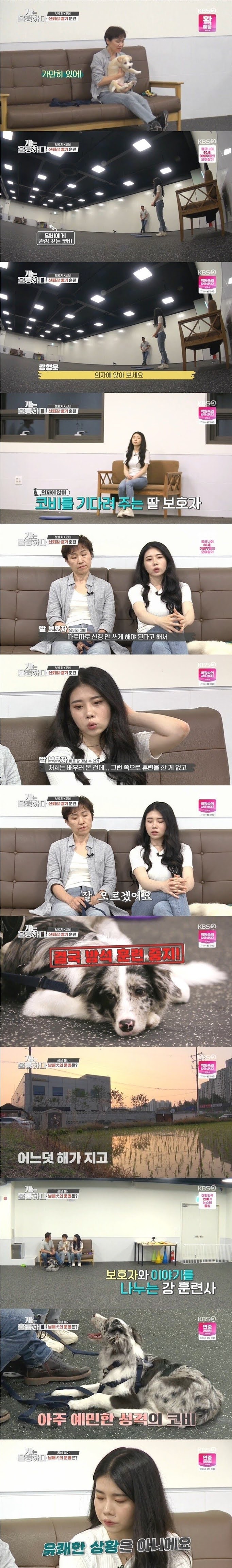 강형욱도 포기한 역대급 개 주인