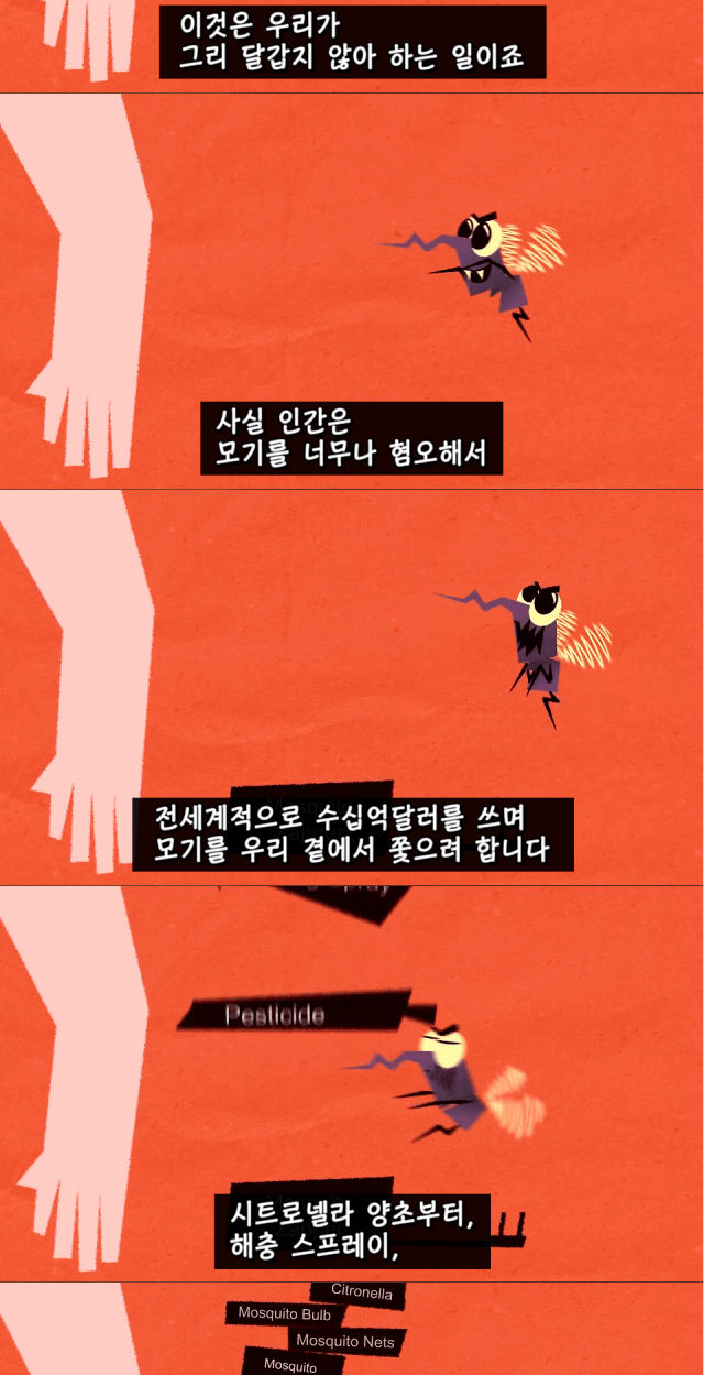 지구상 최악의 벌레