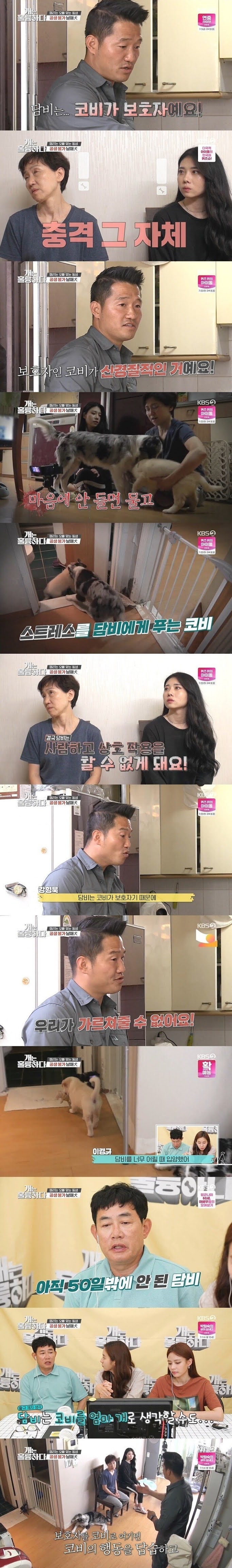 강형욱도 포기한 역대급 개 주인