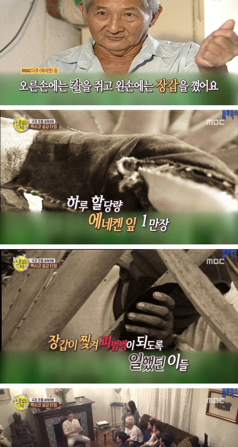 멕시코로 갔던 첫 조선인들