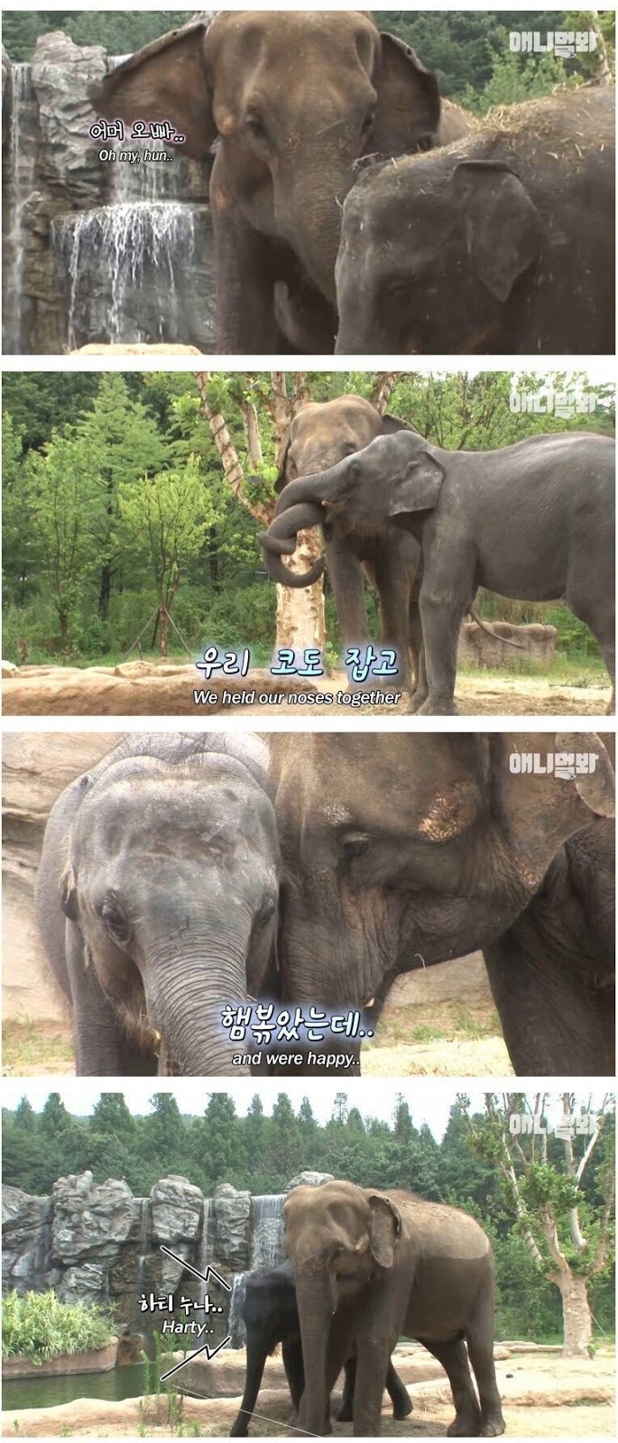 남친이랑 헤어지고 방청소 하다가 울음