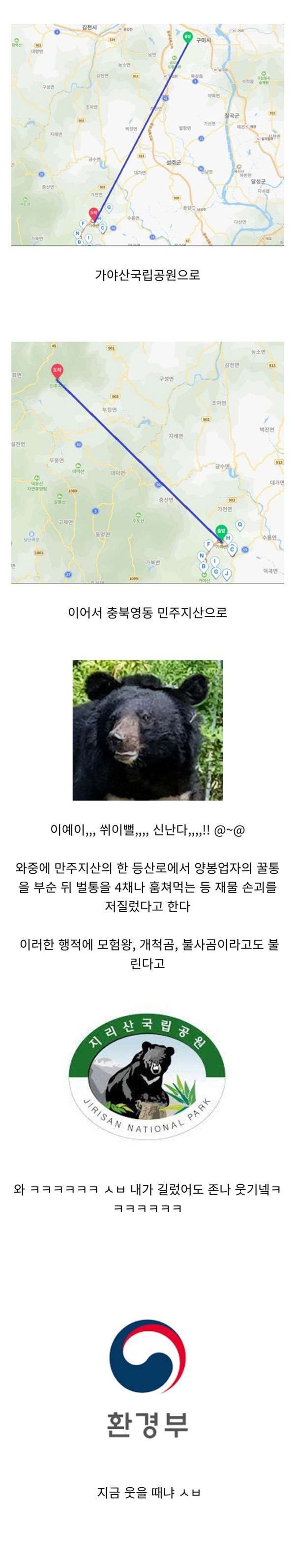 민폐 반달곰 오삼이