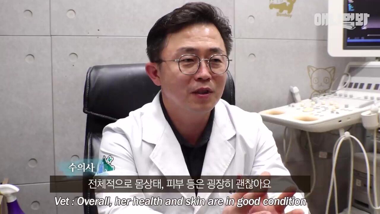 산책로 화장실에 유기된 개