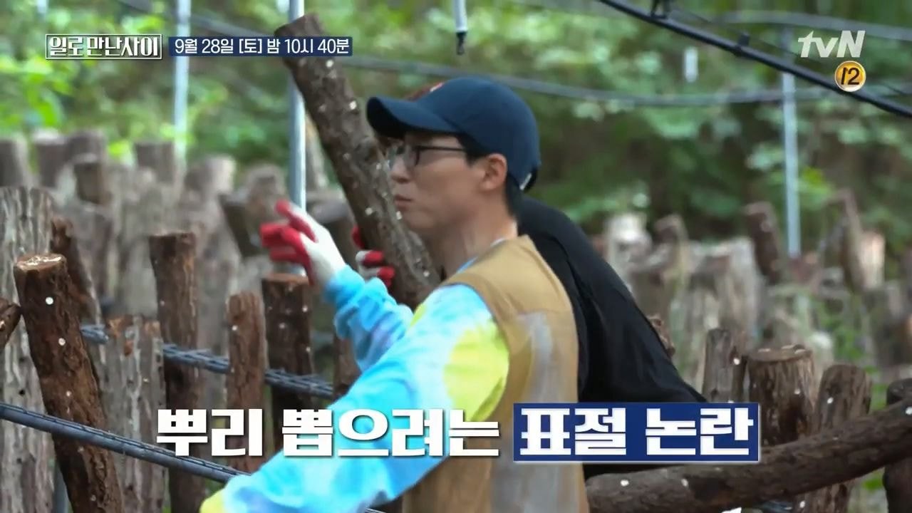 워크맨 표절 논란