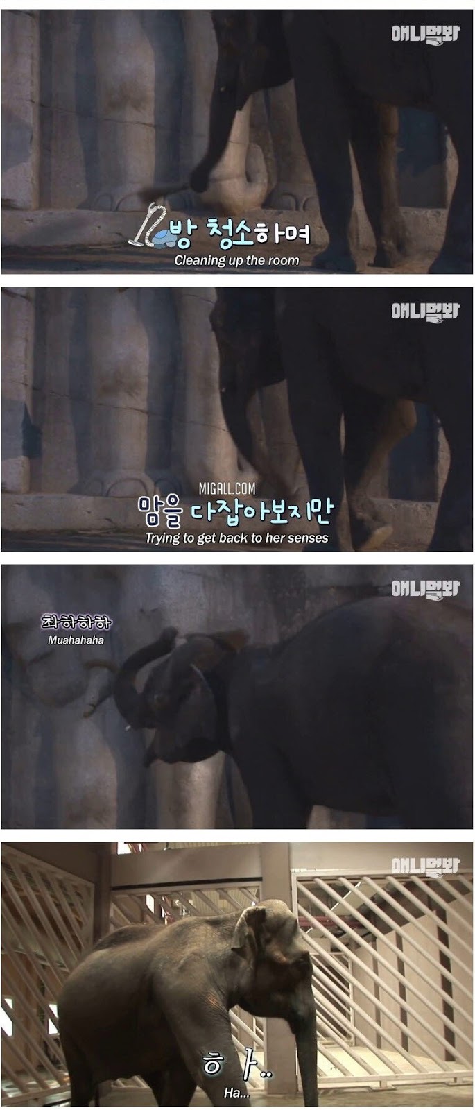 남친이랑 헤어지고 방청소 하다가 울음