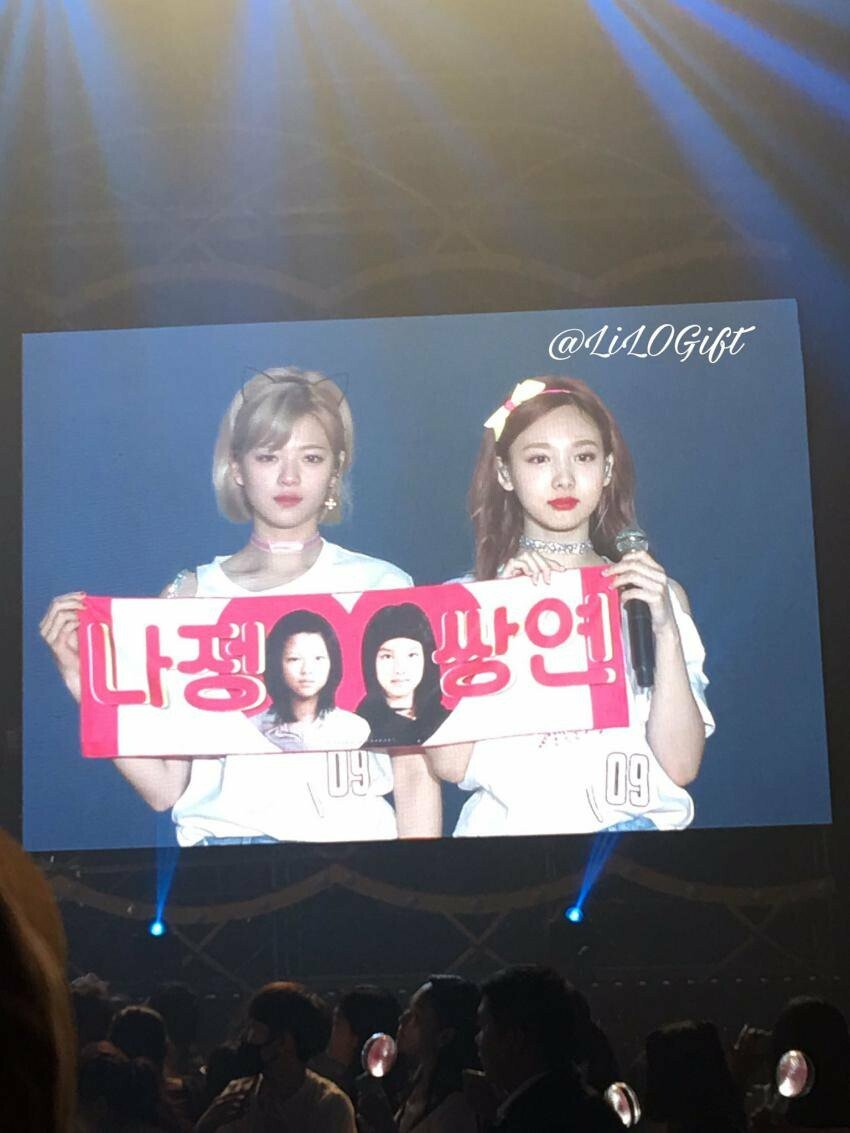 트와이스 애증의 쌍연 나연,정연