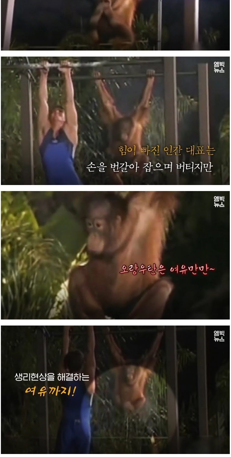 인간 VS 동물 기상천외한 승부