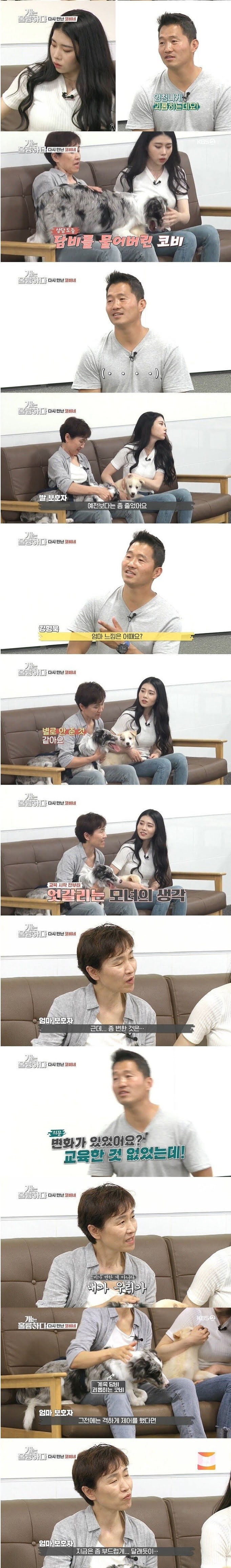 강형욱도 포기한 역대급 개 주인