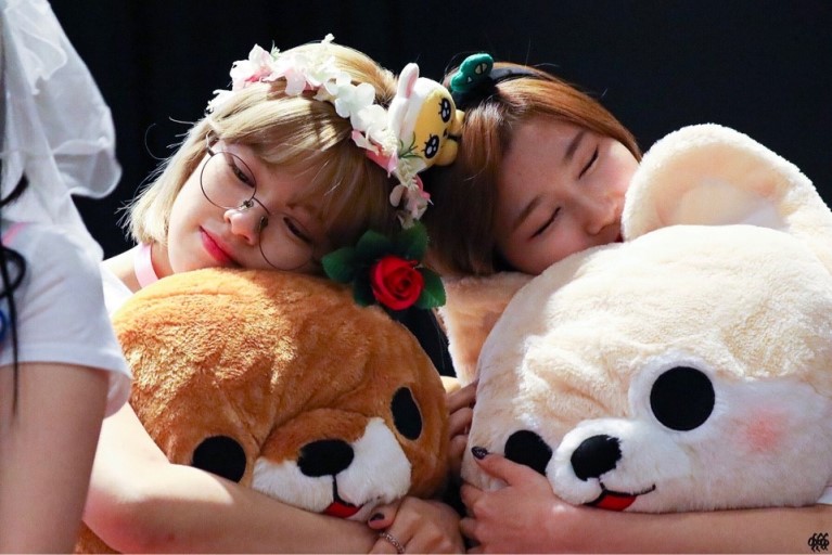 다정한 230즈 사나 정연
