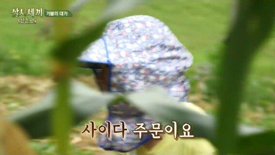 남주혁 정도는 되어야 분위기 띄울 수 있는 드립