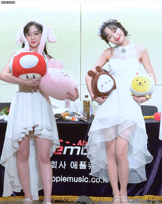 귀염 터지는 여우