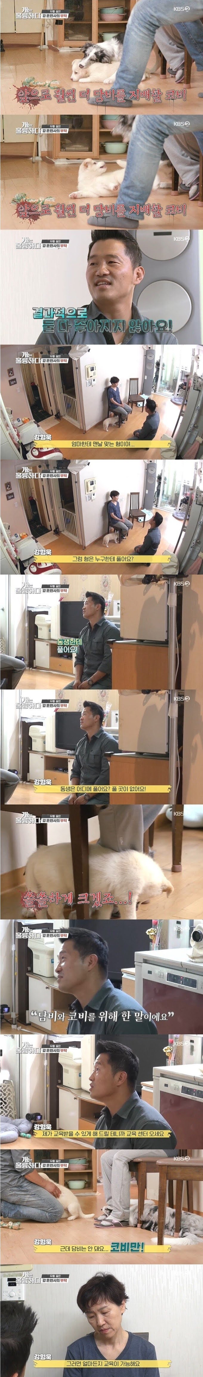강형욱도 포기한 역대급 개 주인